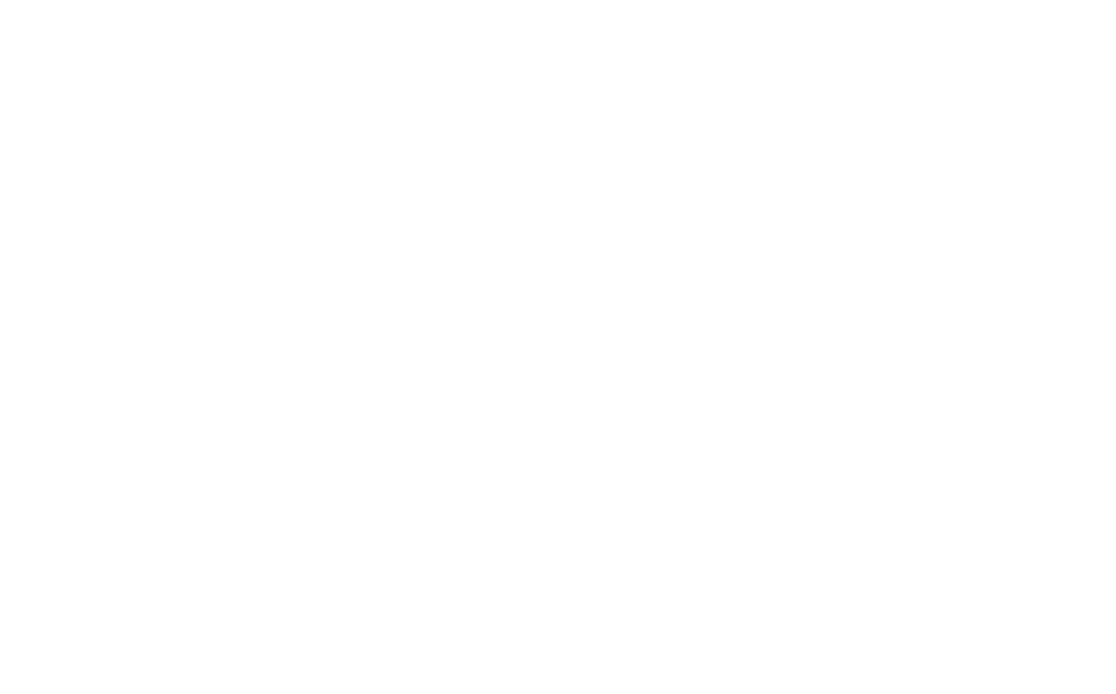 DSL logo